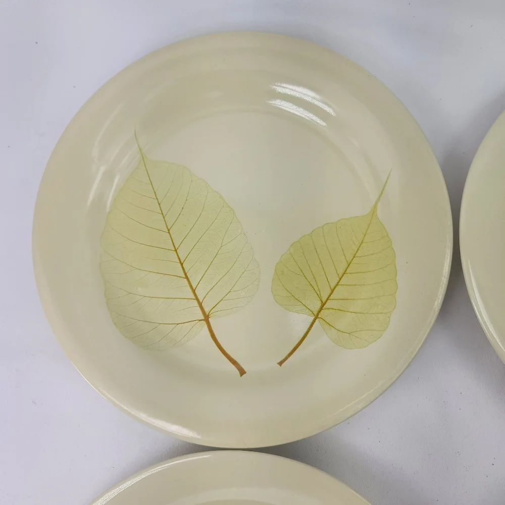 Pier 1 Aspen Stoneware Salad Dessert Plates Set of 4